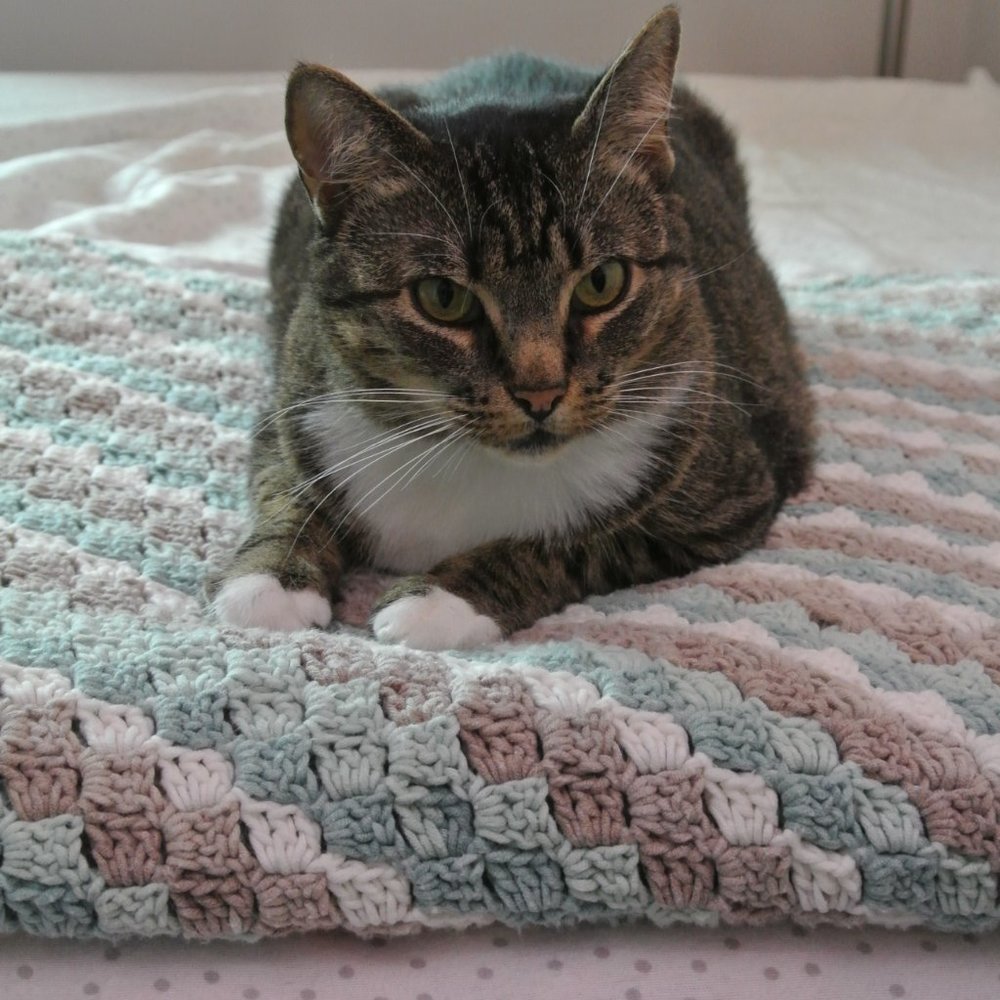 Crochet Blanket - Picture 3 of 5
